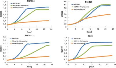 Toxic effect and inability of L-homoserine to be a nitrogen source for growth of Escherichia coli resolved by a combination of in vivo evolution engineering and omics analyses